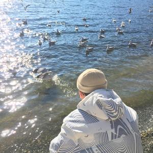 特黄特色一级片视频
